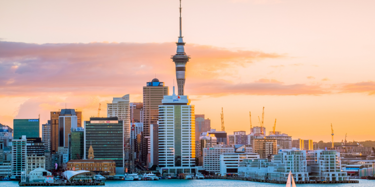 New Zealand singles trip