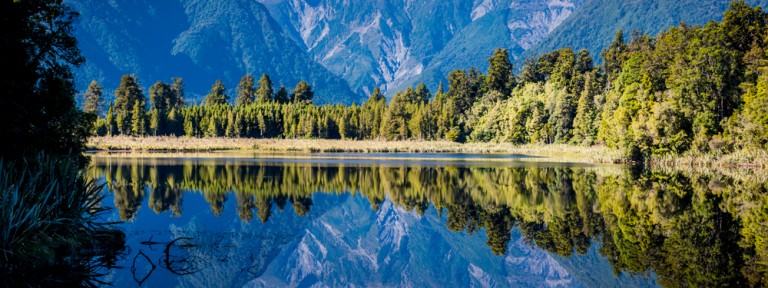New Zealand singles trip
