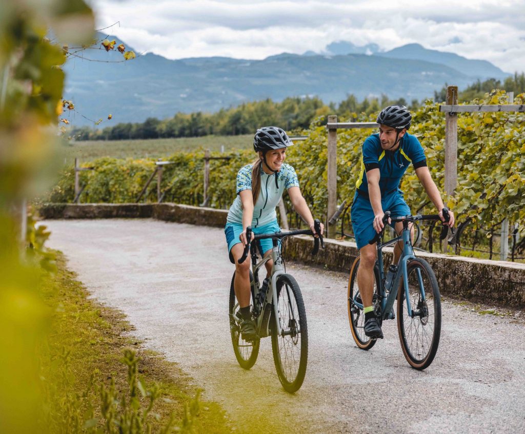 Cycle Trentino Vineyards