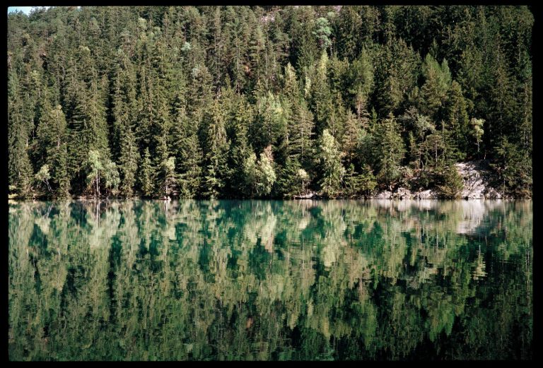 Tirol This Summer