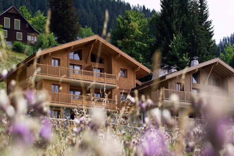 Summer French Alps