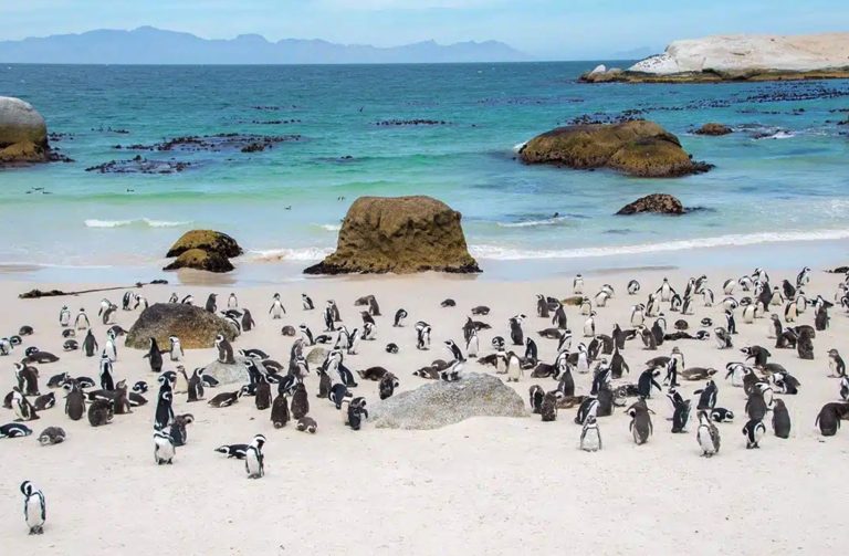 Top 10 Beach Destinations