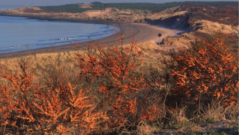 Scotland’s Best Car-Free Beachs